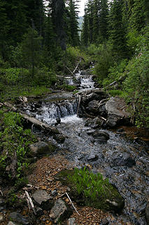 Unnamed creek along the trail to the Siamese Lakes, proposed Great Burn Wilderness Area, Montana.