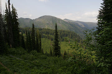 West Fork Fish Creek, proposed Great Burn Wilderness Area, Montana.