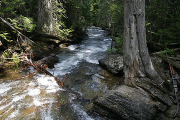 West Fork Fish Creek, proposed Great Burn Wilderness Area, Montana.