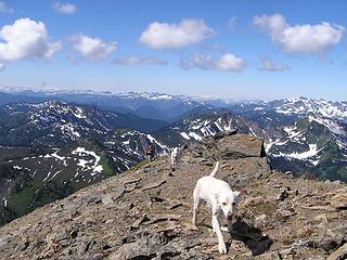The one semi-good dog in lead and Joanna summiting - looking south