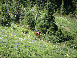Another hiker coming up from below on upper Rock Mtn slopes.