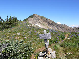 Junction to Rock Mountain summit. It is visible here. Right fork goes back down towards Rock Lake/alternate trail.