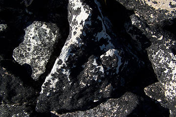 black lichen on the rocks