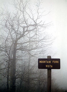 Mountain Fork Vista