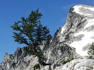 Larch and Little Annapurna