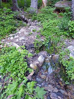 Putvin Trail with water emerging from underground