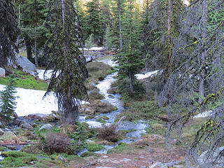 Upper Two Bit Creek