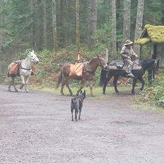 Excellent support from the Backcountry Horsemen