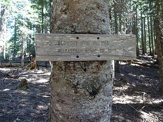 Trail junction before reaching the PCT.