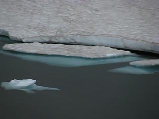 Frozen Lake - bergs