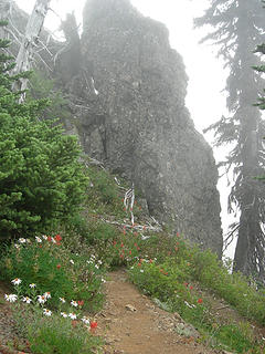 Cliffs and wildflowers 4900 ft/6.4 mi