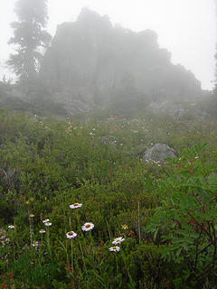 Cliffs and wildflowers 4800 ft/6.3 mi