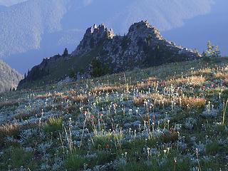 Wildflowers and spires at dusk.