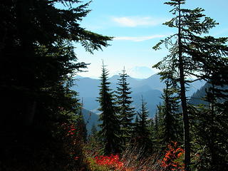 Mount Rainier from across Snoqualmie Pass