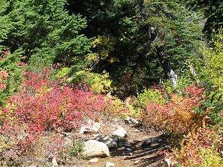 More red along the trail (my daughter's pic)