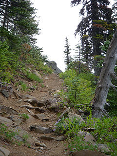 Trail to viewpoint