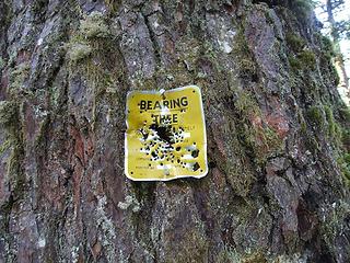 The barely readable sign on the Bearing Tree at the Bare Mountain trailhead.