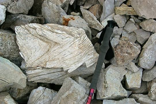 your average run-of-the-mill chuck of what looks like petrified wood