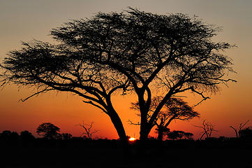 Hwange National Park, Zimbabwe 
By Gil Aegerter