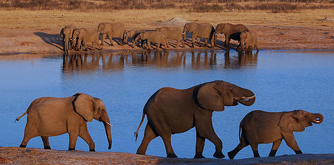 Hwange National Park, Zimbabwe 
By Gil Aegerter