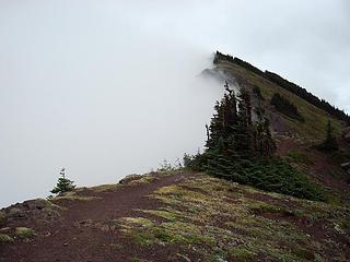 upper lake angeles trail - klahhane ridge, off victor pass