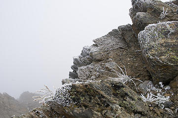 Rime ice on the rocks