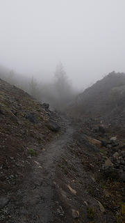 Trail and fog