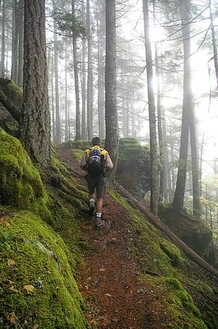 A hiker on trail