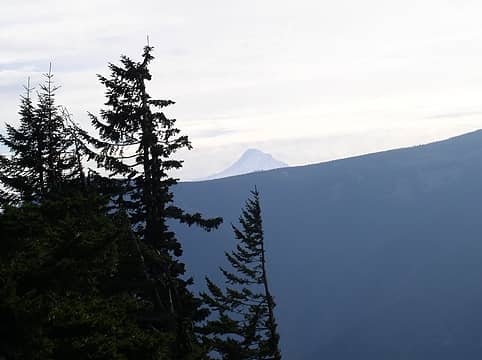 The tip of Mt. Hood from Dog Mountain