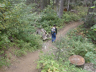 Lower Miller Peak trail.