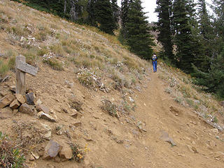 Miller Peak summit trail junction.