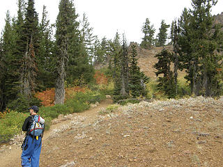 Views from Miller Peak trail.