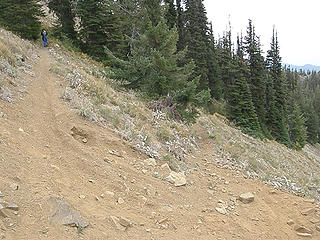 Miller Peak summit trail junction. Trai on right is an alternate longer loop back down.
