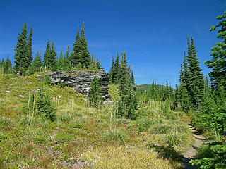 Meadows and rocks near the start of the trail