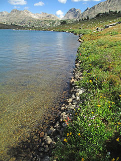 Shores of Lee Lake