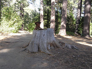 Apparently a "resting throne" at the end of the hike near the resort