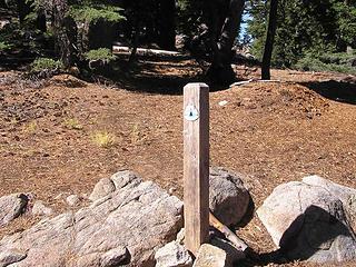 Arriving on the Crest Trail