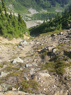 Looking down the gully