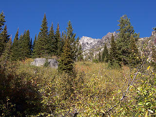 Mt. Stuart summit from brush N of  Ingalls Creek trail.