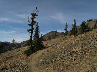 Views along the trail to Longs Pass