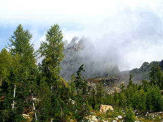 Seven Fingered Jack trying to be seen