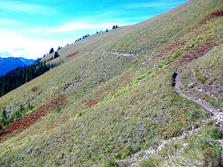 Trail on Miners Ridge