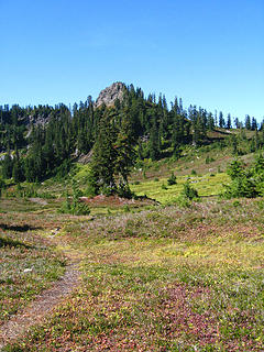 Schrieber's Meadow near Mt.Baker