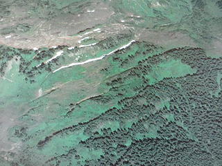Sackungen from air as marked by linear bands of trees and prominent snow bands. Google Earth image, looking north and upslope.