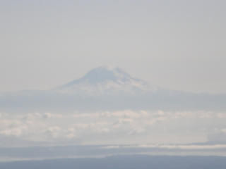 Rainier from Ellinor summit.