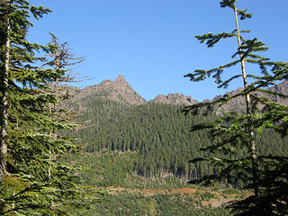 Early views in general direction of Mt. Washington from lower Ellinor trail.