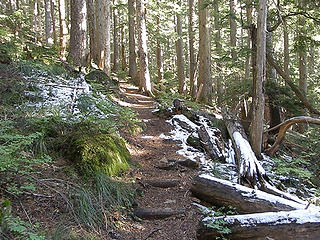 First signs of snow on lower Mt. Ellinor trail.