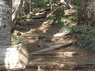 Upper Ellinor trail. When it gets steep steps are provided.