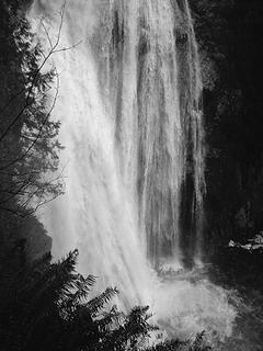 Twin Falls, black and white