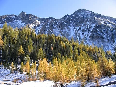 Ice Box and golden Larches